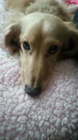 やっぱり…