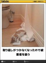 [お題]from:GEORGIさん