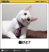 [お題]from:ルフィィさん