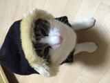 ゴメンなさい(つД`)ノ