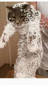 雪((((；ﾟДﾟ)))))))
