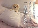[お題]from:苺さん