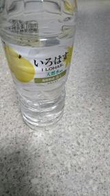 新しいものと好きなもの(*´∀｀)