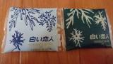 白い恋人