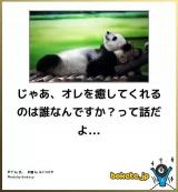 [お題]from:かずさん