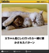 [お題]from:しげおおさん