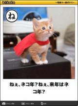 よろしくお願いしまーす！