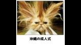 おーしらせ