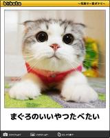 おー知らせ〜