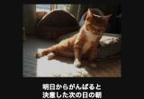 [お題]from:アギさん