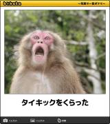 お久しぶりです〜