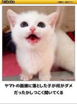 [お題]from:ムラムランさん