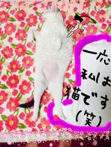 こいつ