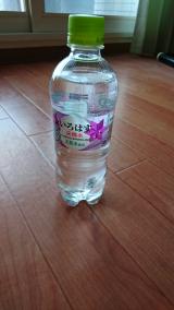 飲んでみた(*´∀｀*)