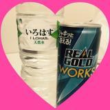 出勤(`・ω・´)ｼｬｷｰﾝ