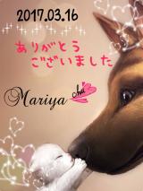 おれい