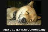ありがとう♡