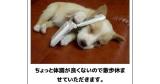 [お題]from:洗濯バサミさん