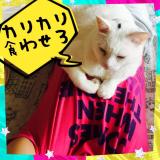 7キロあるクセに…
