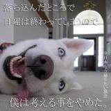 [お題]from:イチゴのソースさん