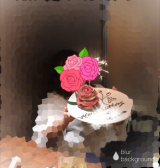 ᐠ(   ᐢ ᵕ ᐢ )ᐟ