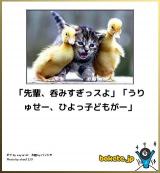 [お題]from:赤きちさん