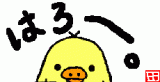 こんにちは！