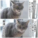 [お題]from:きんぐさん