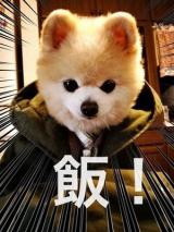 [お題]from: つるちんなおくんさん