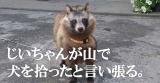 [お題]from:豆大福。です。さん