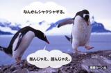[お題]from:Kazさん