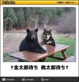 [お題]from:鱈子大王さん