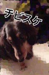 (｡ >艸<)