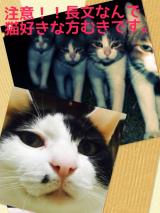 NNNってご存知ですか？