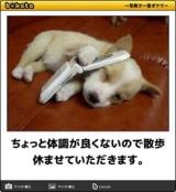 [お題]from:サルバトーレ猿渡さん