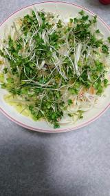 野菜♪