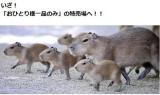 [お題]from:九州なめ好きさん