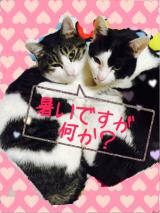 久しぶりの暑さ