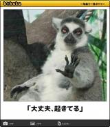 [お題]from:九州なめ好きさん