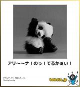 [お題]from:山村さん家の長女さん