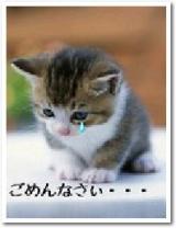 ごめんなさい