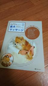 この間から|ω•。 ))