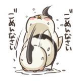 ごめんなさぃ!!!!