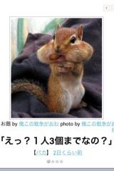 [お題]from:プーさん林家さん