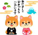 こんばんは