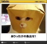 [お題]from:がんばれ父ちゃんさん