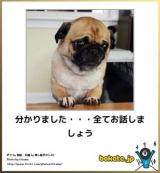 【お知らせ】