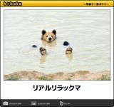 【お知らせ】