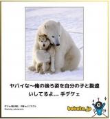 [お題]from:ぶひぶひ君さん