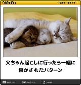 [お題]from:ペロペロマシーンさん
